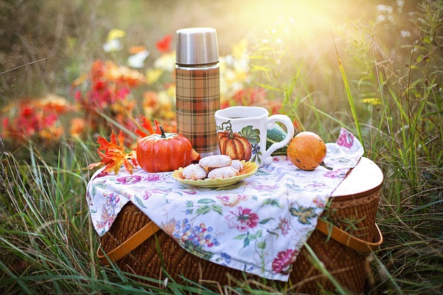 Picnic Aesthetic: Embracing the Charm of Al Fresco Dining