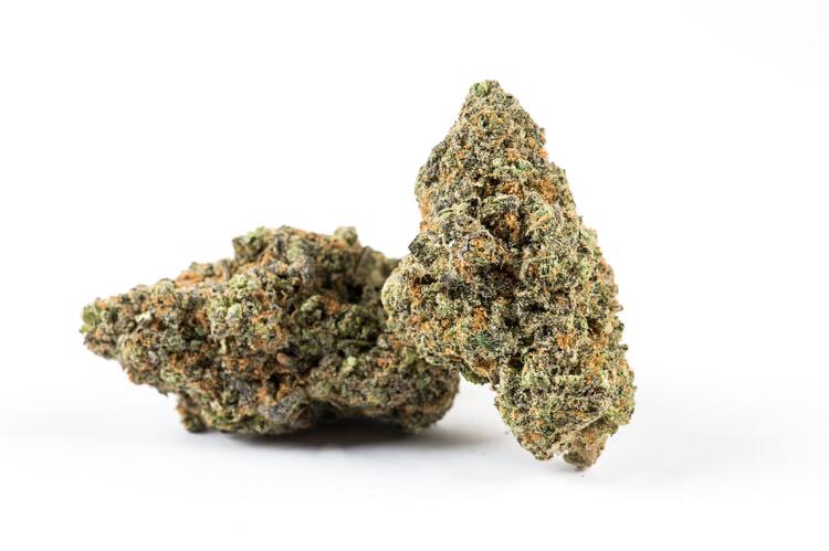 Exploring the Potent Power of the Trainwreck Strain
