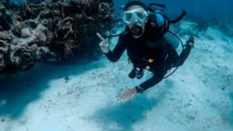 Dive Master Koh Tao: Turn Your Passion Into a Career with Unlimited Dives