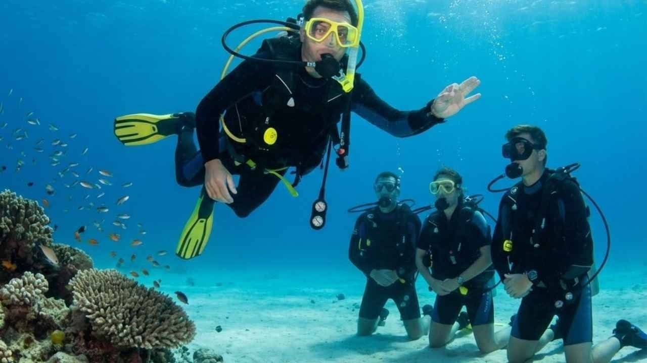 Becoming a Koh Tao Dive Master: A Guide to Professional Diving Certification